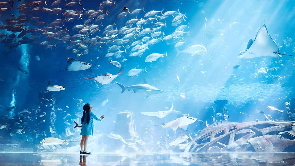 The Lost Chambers Aquarium